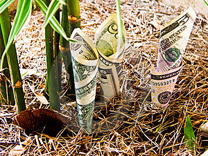 growth money